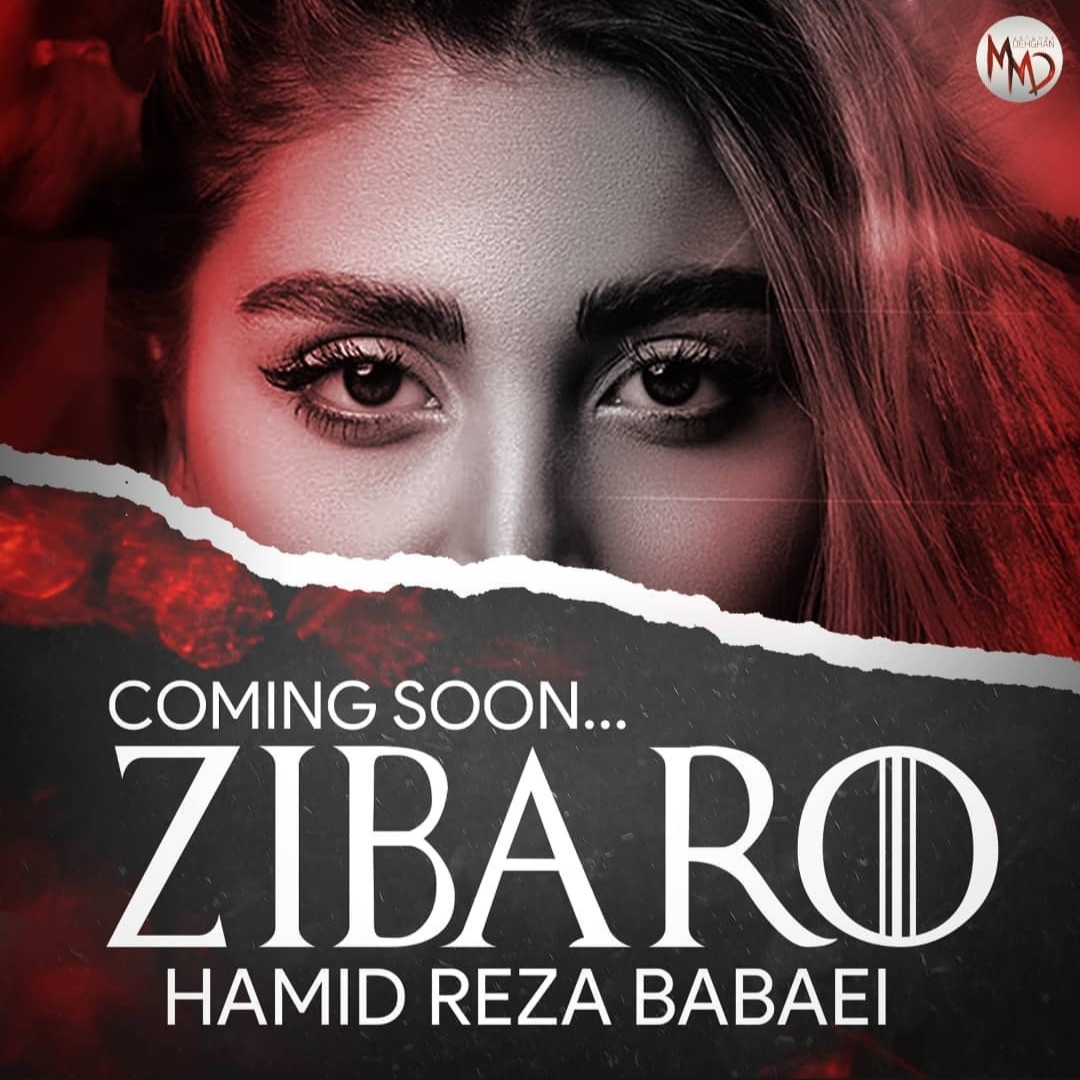 حمیدرضا بابایی زیبارو